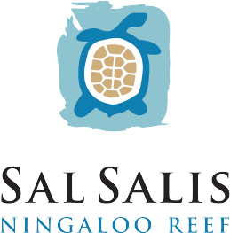 Sal Salis icon